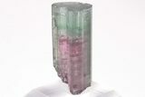 Bicolor Elbaite Tourmaline Crystal - Aricanga Mine, Brazil #206242-4